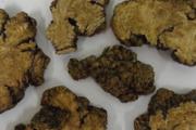 川芎的功效与作用及禁忌症