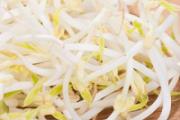 吃绿豆芽有减肥效果吗 绿豆芽的热量高吗