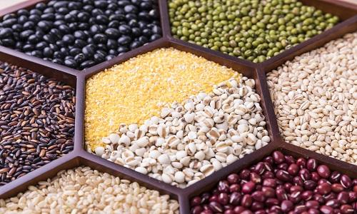 薏苡仁可以和绿豆煮吗 薏苡仁绿豆汤的功效 乐哈健康网