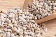 薏米煮粥前用炒熟吗 薏米能打豆浆喝吗