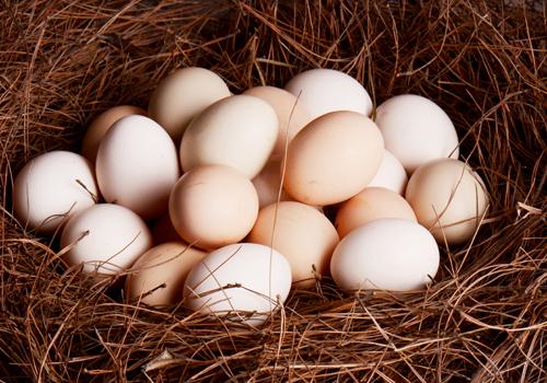 电水壶煮鸡蛋多长时间