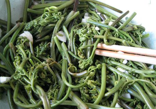 蕨菜可以多吃吗 蕨菜吃多少合适 乐哈健康网