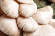 立秋吃什么食物养生 立秋养生吃什么东西好