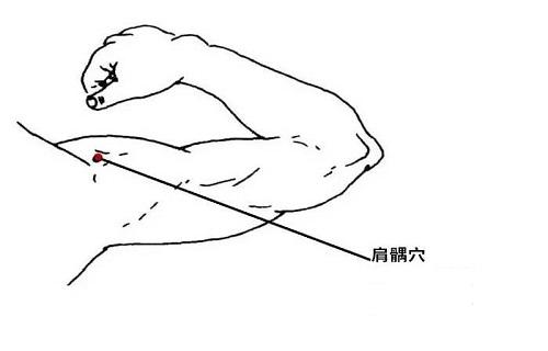肩髃的准确位置图 肩髃的定位与主治 乐哈健康网