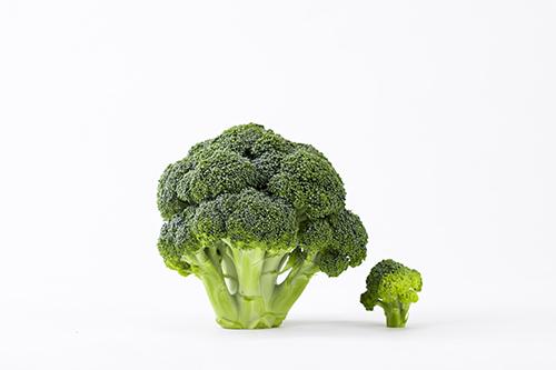 西兰花能生吃吗 水煮西兰花要煮多久 乐哈健康网