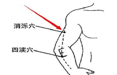 消泺的准确位置