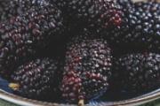 桑葚熬成膏还有营养吗 桑葚熬成膏上面起毛底下还能吃吗