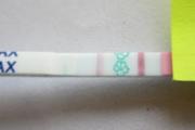 白带拉丝是排卵前还是排卵后 白带拉丝后多久排卵