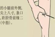 痛风按摩治疗方法图解 痛风按摩哪里比较好