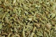 茴香吃了有什么好处 食用茴香需要注意什么