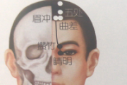 眉冲的准确位置图 眉冲的准确位置图作用