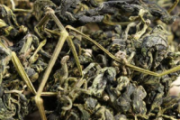绞股蓝能降血糖吗 绞股蓝配什么降三高