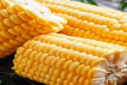 玉米怎么煮好吃有味道 玉米需要煮多久才熟