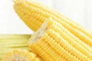 生玉米放冷藏还是冷冻好 生玉米放的久还是熟玉米放的久