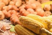 玉米属于容易消化的食物吗 甜玉米有什么功效与作用