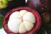 秋季上火吃什么水果