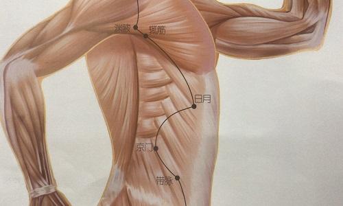 日月的准确位置图片 日月的作用与功效