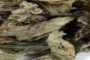 紫苏泡脚有什么用 紫苏泡脚可以去湿气吗