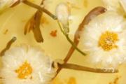 茵陈和菊花能泡茶喝吗 茵陈泡水一天喝几次