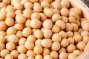 怎样选大豆 大豆怎么保存好