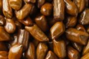 决明子可以降血压吗 血糖高能喝决明子茶吗