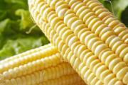 玉米可以用微波炉加热吗 玉米在微波炉怎么加热