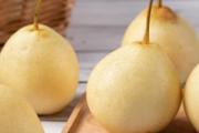 怎样煮梨水治咳嗽最好 雪梨可以和姜片一起熬水喝吗