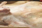 鸭肉的腥味太浓怎么办 买活鸭怎么挑选