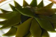 夏天吃什么菜好排毒 几种食物可以排毒