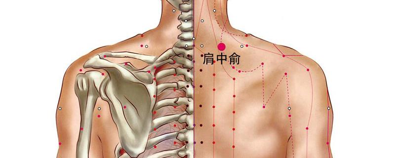肩胛骨酸痛的按摩手法