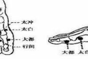 大都的意思和作用 大都的位置图
