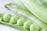 豌豆不煮熟会中毒吗 豌豆生吃好还是熟吃好