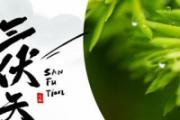三伏天从什么时候开始至结束 为什么三伏天排寒湿最好