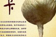  玛卡的营养价值及食用方法