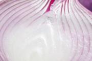宝宝能吃洋葱吗 宝宝吃洋葱有什么好处