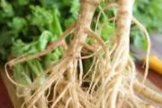 香菜根的功效与作用
