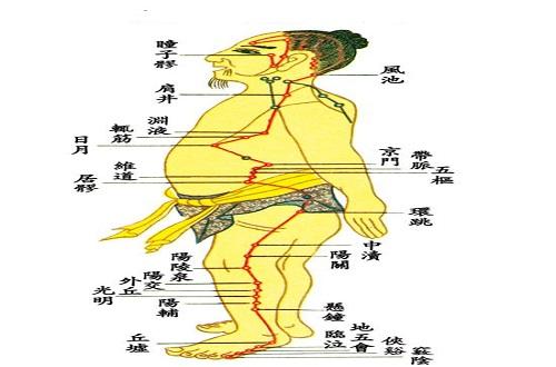 足少阳胆经的作用 胆经的走向 乐哈健康网