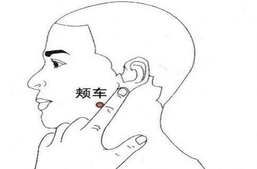瘦脸艾灸哪里最好 瘦脸艾灸方法图解