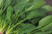 牙齿发黄怎么办 吃这些食物可以美白
