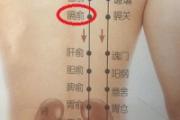 膈俞的准确位置图和作用 膈俞怎么找