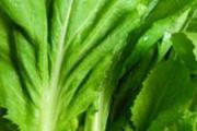 芥菜怎么去苦味 芥菜腌多长时间可以吃