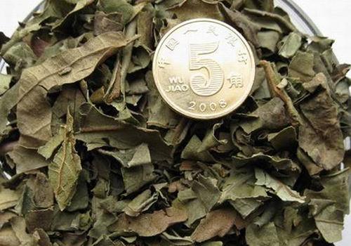 丁香叶的功效与作用