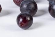 嘉宝果可以直接吃吗 嘉宝果可以泡酒吗