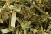 益母草喝多了会怎么样 益母草喝多长时间最好