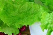 生菜是发物吗 生菜有什么营养