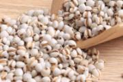 薏米和米饭哪个热量高 薏米怎么吃减肥效果好