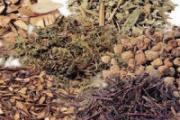 鼻炎吃中药吃得好吗 鼻炎吃什么中药药效果最好