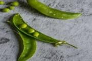 豌豆和菠菜能一起吃吗 豌豆不能和什么一起吃