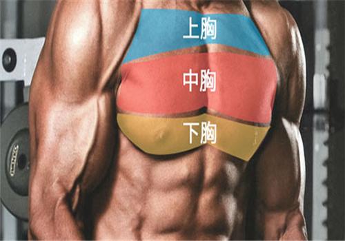 上胸肌怎么练最快图解 练上胸肌的最好方法 乐哈健康网