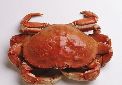 熟螃蟹放冰箱能放多久 熟螃蟹放冰箱时间长了还能吃吗